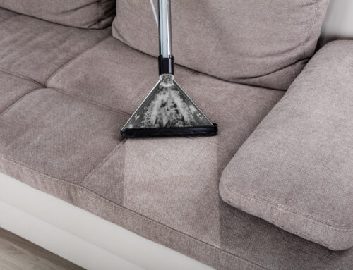 Upholstery Cleaning in Action